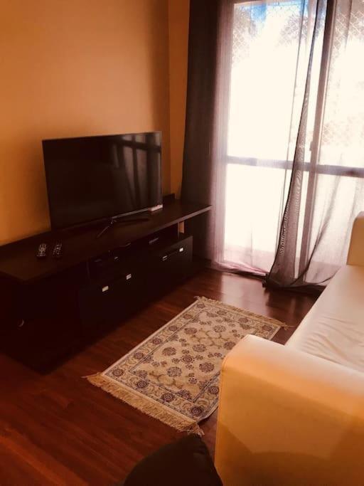 Apartamento Aconchegante E Pratico